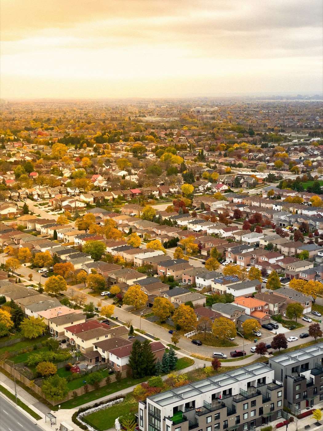 Aerial view of a suburban neighbourhood in autumn
