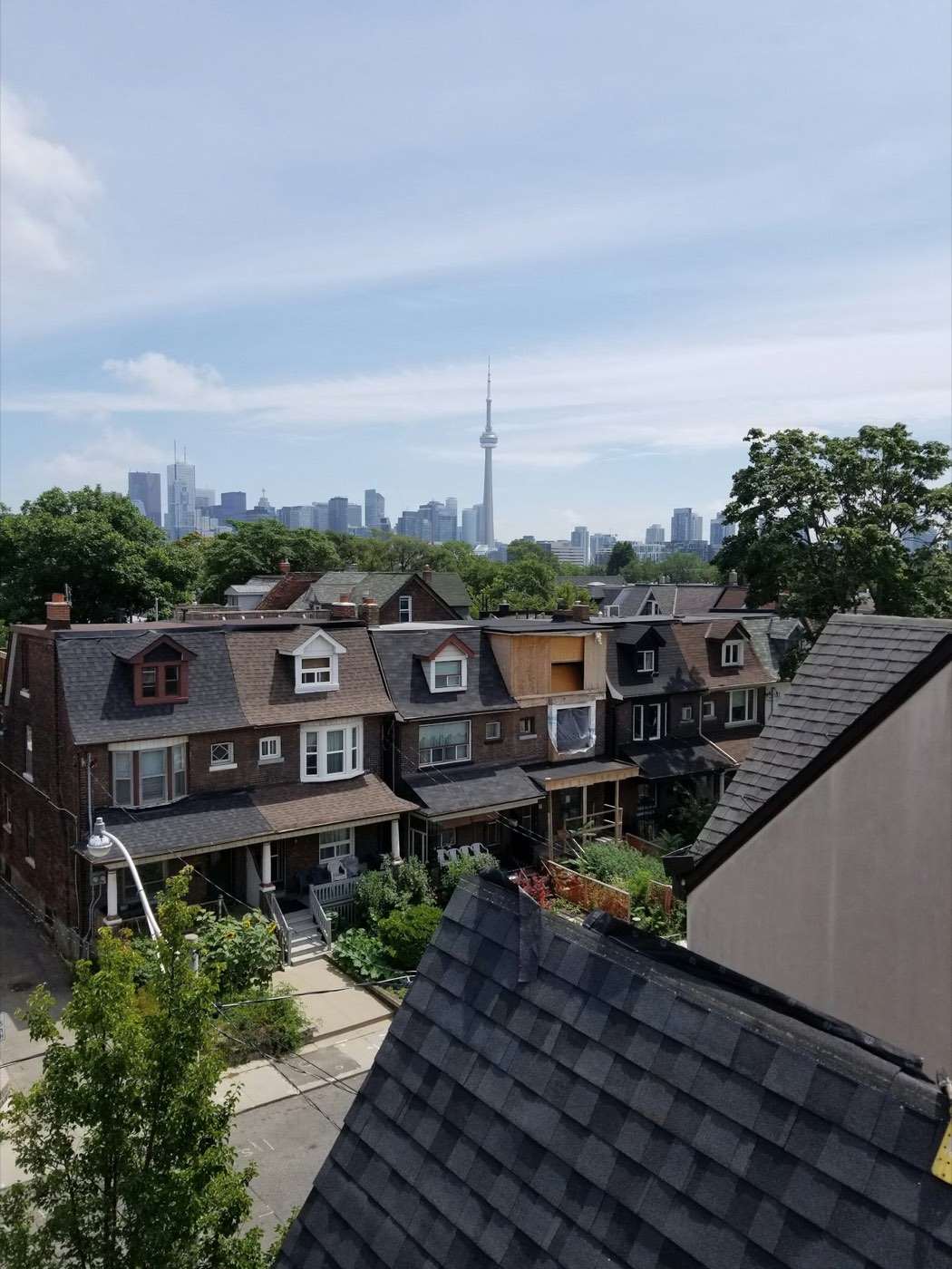 Toronto rooftops with the downtown skyline behind